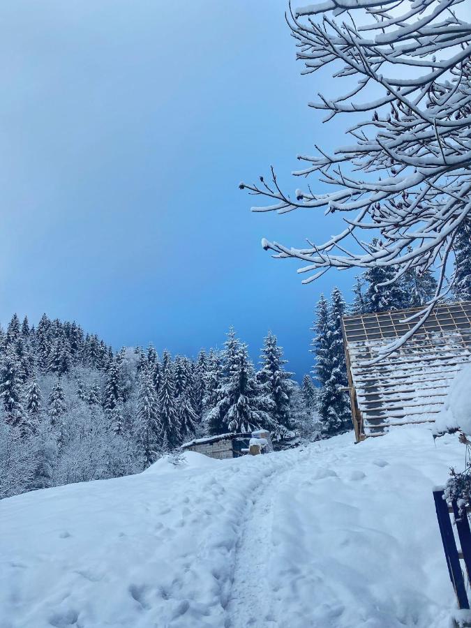Cabana Green Hill Борша Екстер'єр фото